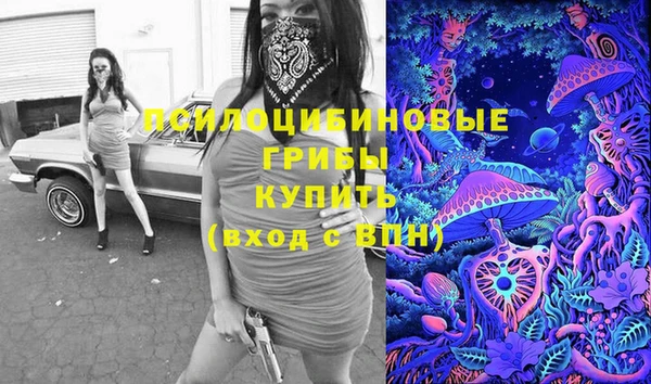 гидропоника Абаза