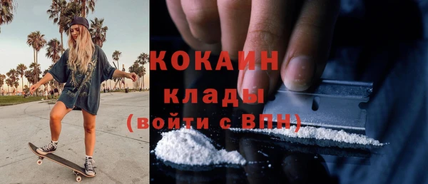 бошки Алзамай
