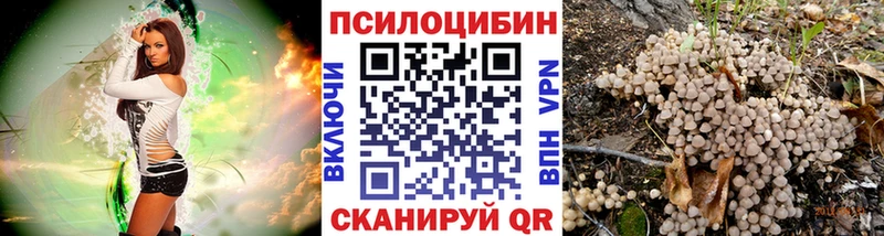 Галлюциногенные грибы Magic Shrooms  Кирсанов 